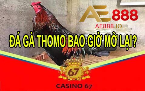 Đá Gà Thomo 67 - Trực Tiếp Đá Gà Cựa Sắt Nhanh Nhất